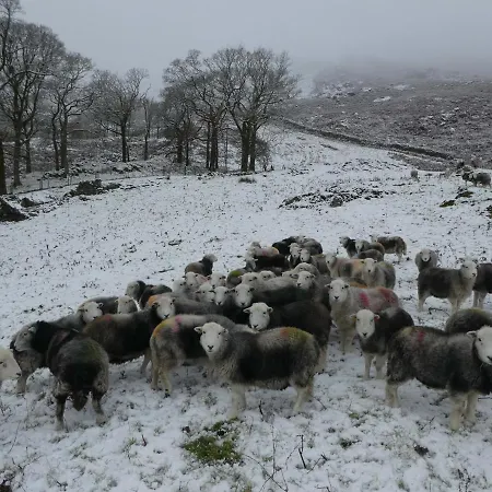 Nyaraló Marsh Garth Grizebeck