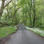 Ferienhaus Marsh Garth Grizebeck