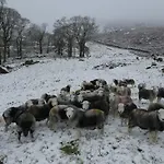 Ferienhaus Marsh Garth Grizebeck