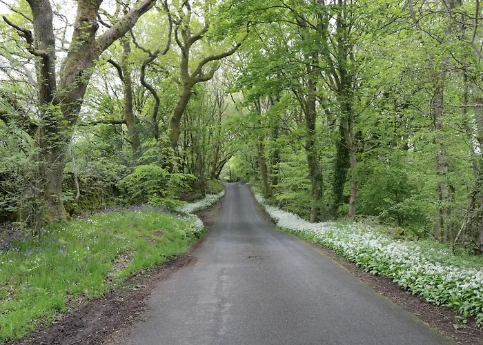 Prázdninový dům Marsh Garth Grizebeck