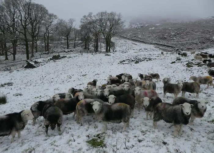 Prázdninový dům Marsh Garth Grizebeck